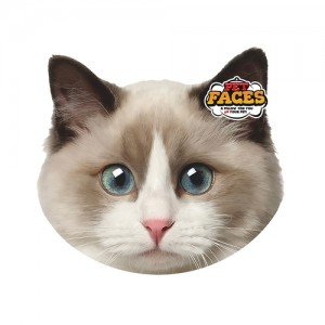 Pet Faces Cat - Ragdoll