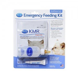 PetAg KMR Emergency Feeding Kit