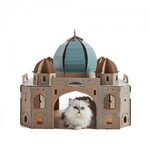 Poopy Cat Landmarks - Taj Mahal