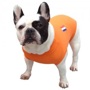 Medical Pet Shirt Hond Oranje - M Plus