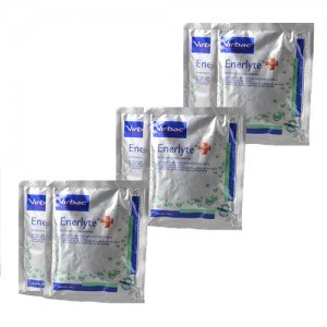 Virbac Enerlyte Plus - 6 Sachets