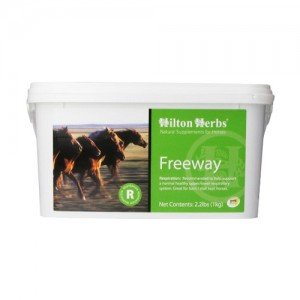 Hilton Herbs Freeway for Horses - 1 kg