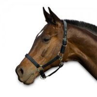 Chetaime Halster Deluxe - Zwart - Pony