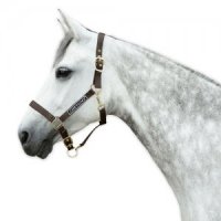 Chetaime Halster Deluxe - Bruin - Pony