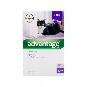 Advantage 80 kat >4 kg - 4 pipetten