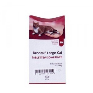 Drontal Large Cat - 1 tablet