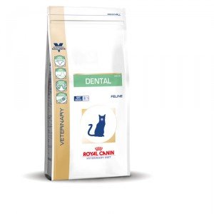 Royal Canin Dental kat (DSO 29) 1.5 kg