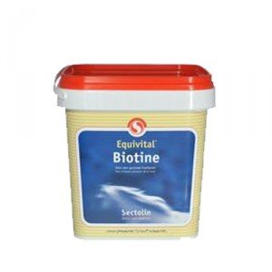 Sectolin Equivital Biotine 1 kg