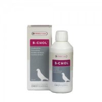 Biochol (B-chol) - 250 ml