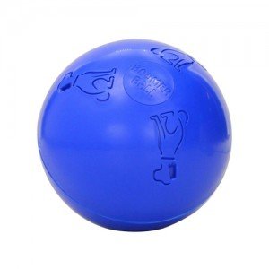 Company of Animals Boomer Ball - 8 inch (20 cm)