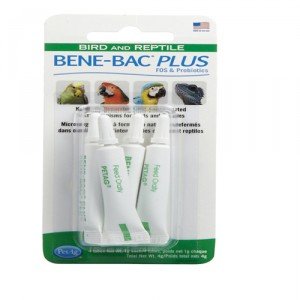 Bene-Bac Plus Bird Reptile Gel - 4 tubes a 1 g