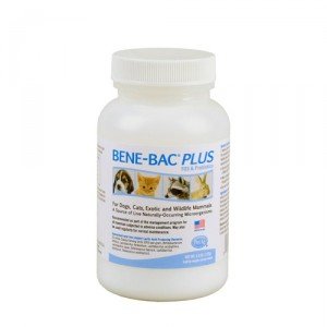 Bene-Bac Plus Pet Poeder 127 gr.