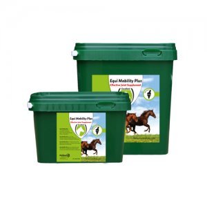 Excellent Equi Mobility Plus - 2 kg (80 Sachets)