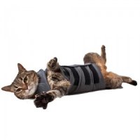 Thundershirt Kat maat S