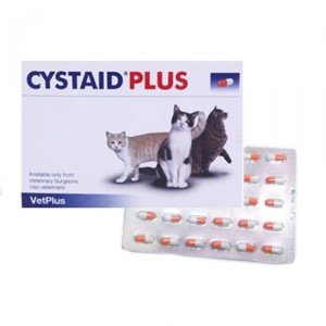 Vetplus Cystaid - 30 capsules