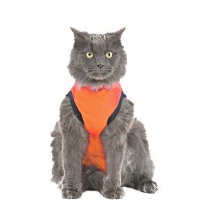 Medical Pet Shirt Kat Oranje - S