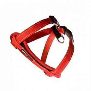 EzyDog Chest Plate tuig - XXS - Rood