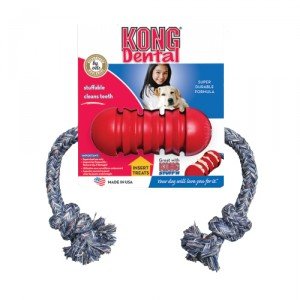 Kong Dental met Touw - Small