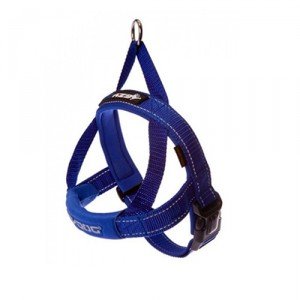 EzyDog Quick-Fit tuig - XL - Blauw