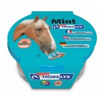 Horslyx Mint Mini - 650 g