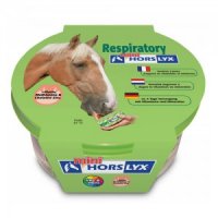 Horslyx Respiratory Mini - 650 g