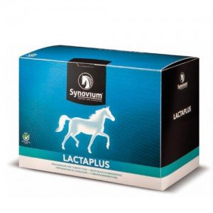 Synovium Lactaplus 6 x 40 g