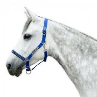Chetaime Safety-first Halster - Royal Blue - Pony