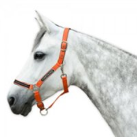 Chetaime Safety-first Halster - Orange - Pony