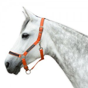 Chetaime Safety-first Halster - Orange - Full