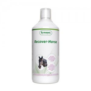 Synopet Recover-Horse - 1000 ml