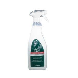 Grand National Equipe Gloss Glansspray - 750 ml