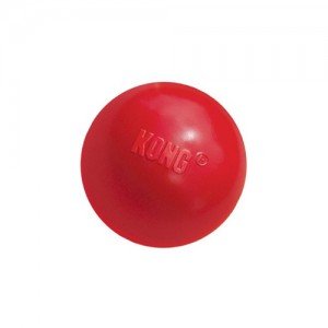 Kong Ball - Small