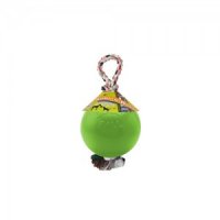 Jolly Romp-n Roll Small (4 inch) 11 cm groen