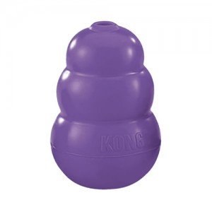 Kong Senior - Medium