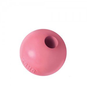 Kong Puppy Ball - Small