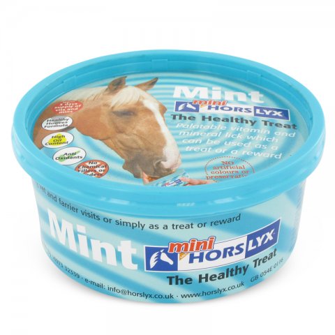 Horslyx Mini Mint blauw