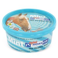 Horslyx Mini Mint blauw