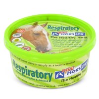 Horslyx Mini Respiratory groen