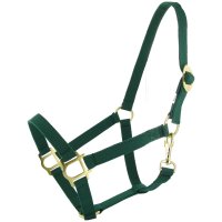 Paardenhalster COB (maat 2) div. kleuren