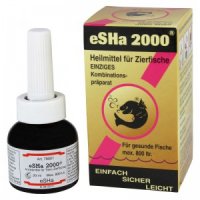 Esha 2000