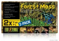 forest moss