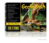 gecko dish