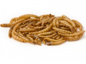 Gedroogde meelwormen
