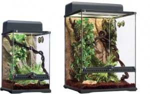 habitat kit rainforest