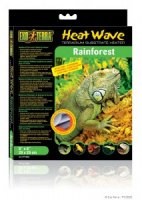 Heat wave rainforest