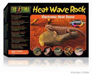 heat wave rock