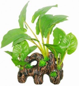 Superfish - Easy Plants Wood Anubias