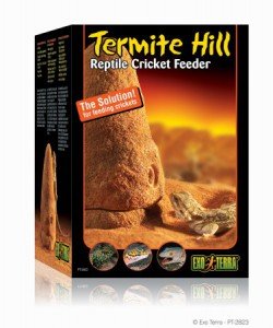 Termite hill