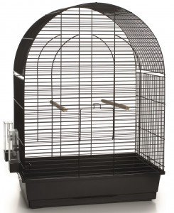 vogelkooi big lucie
