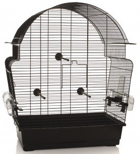 vogelkooi donna